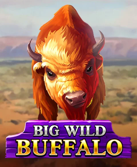 Play Big Wild Buffalo at Dinky Bingo Casino